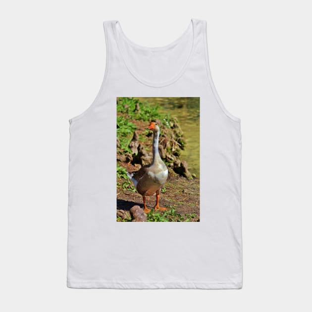 Graylag Goose Tank Top by Cynthia48